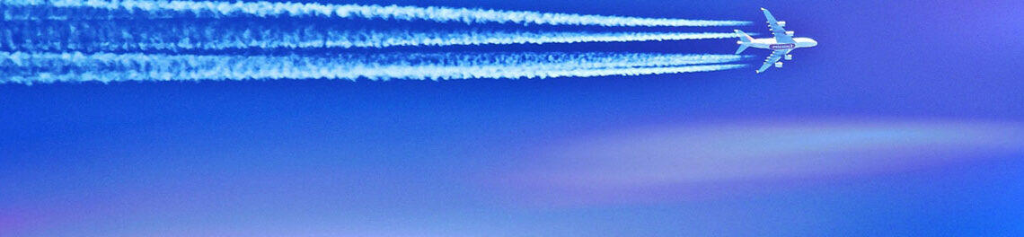 search-for-flights search-for-flights