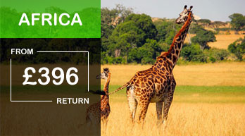 africa flight offers