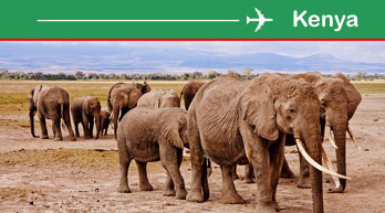 kenya flight offers
