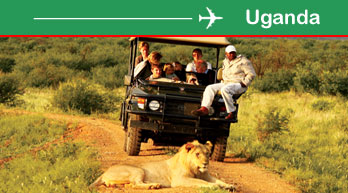 tanzania flight offers